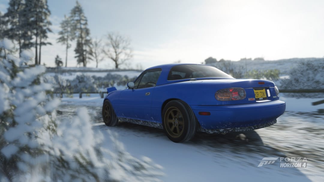 Forza Horizon 4 (12)