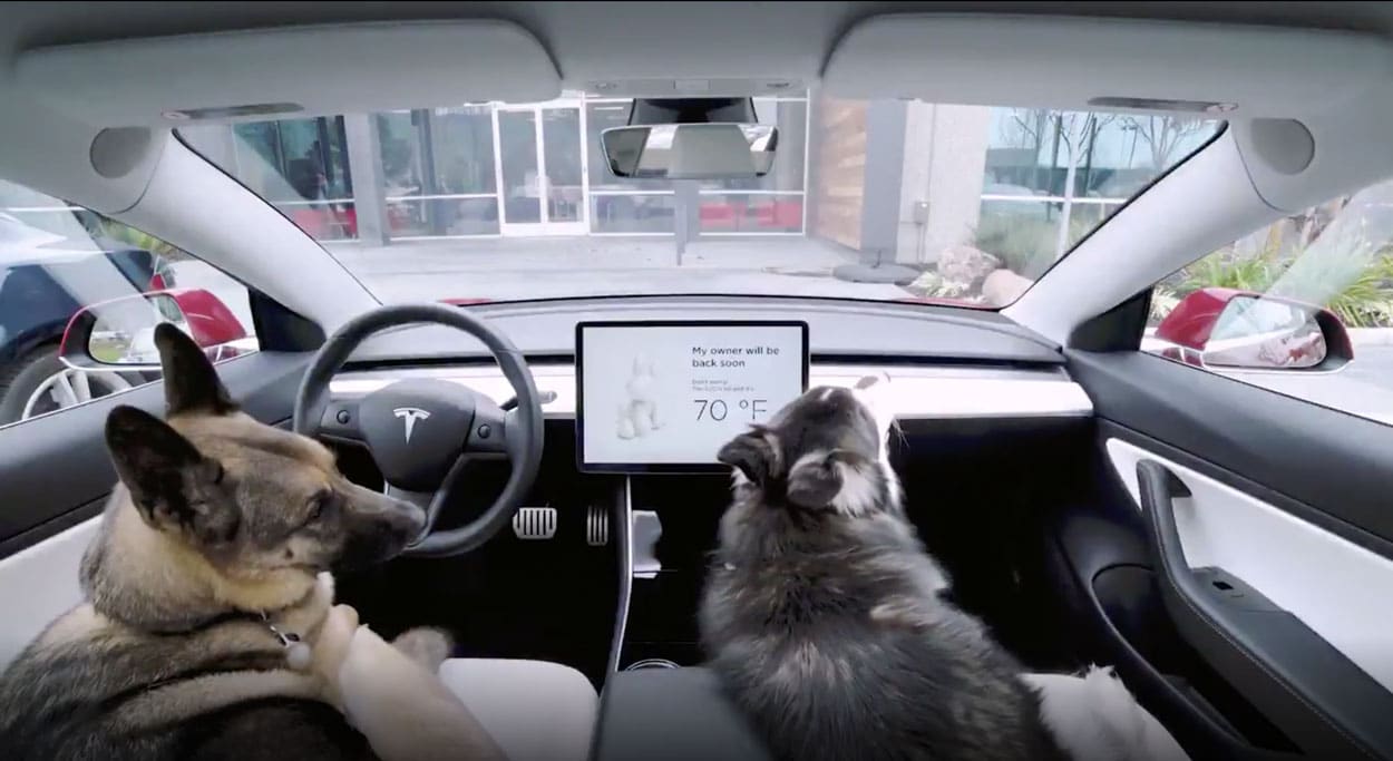 Tesla lance un "Dog Mode" pour nos amis les bêtes !