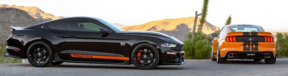 SIXIT va louer des Shelby GT-S