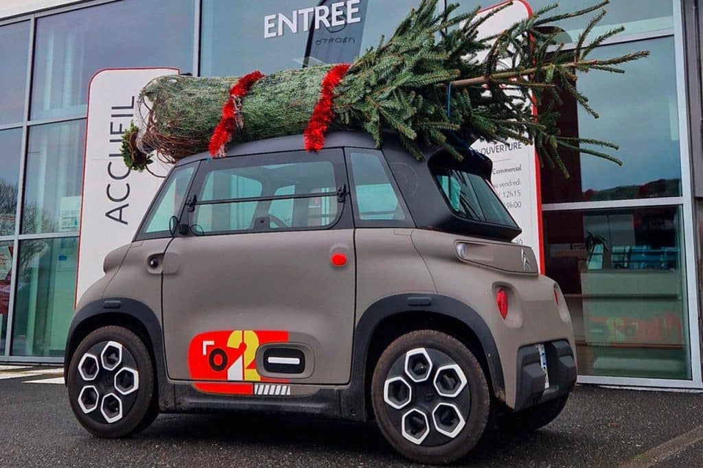 Sapin de Noël citroen ami toit